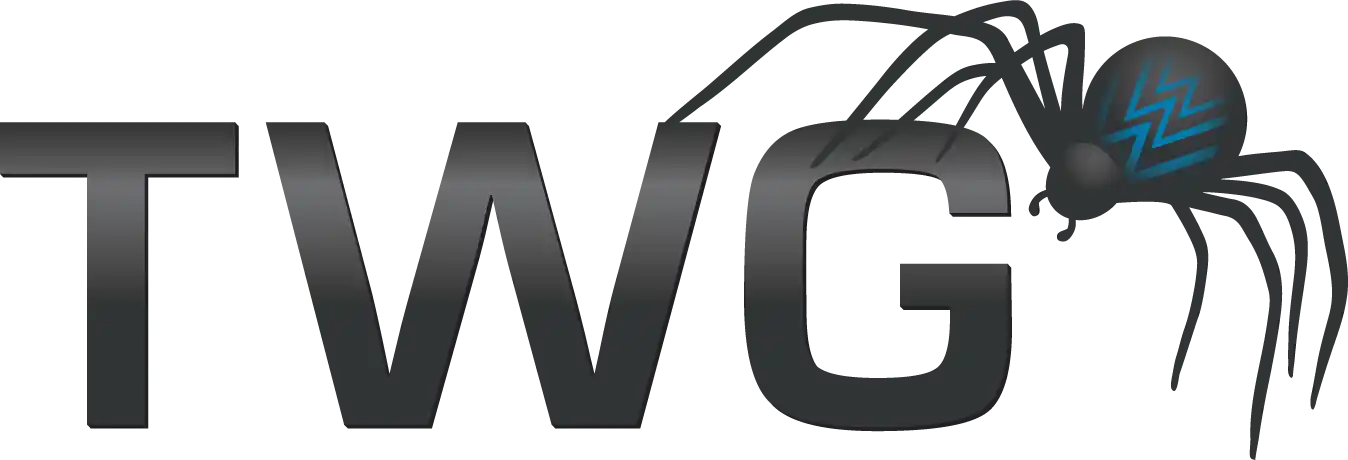 The Web Guys